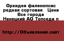 Орхидея фаленопсис редкая сортовая › Цена ­ 800 - Все города  »    . Ненецкий АО,Топседа п.